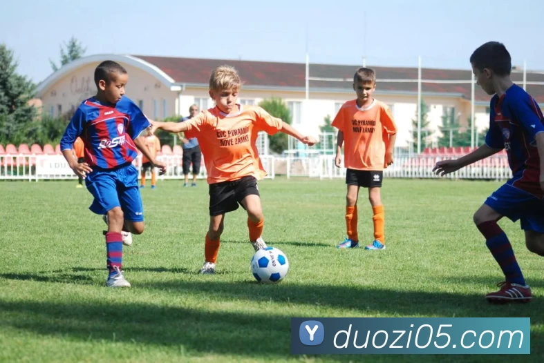 多媒体互动体验